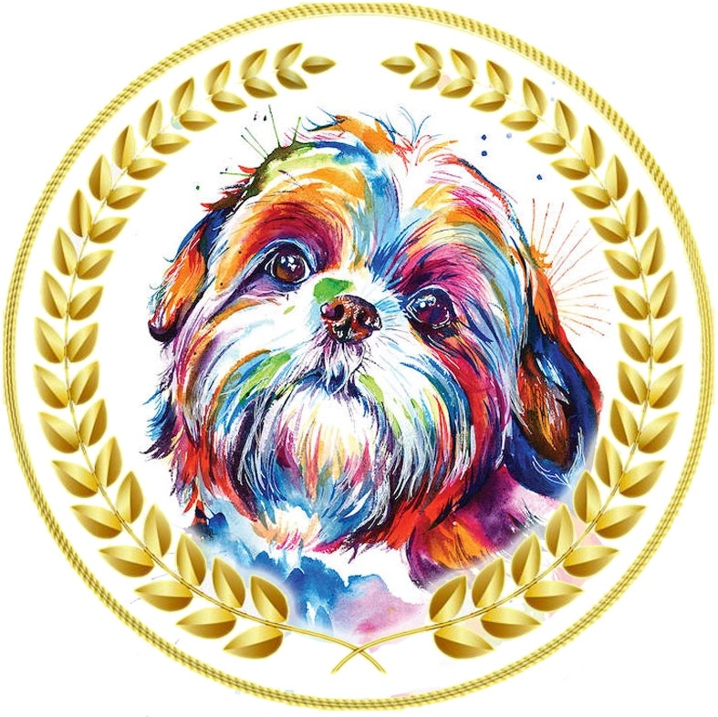 Team Skitty, Bucharest